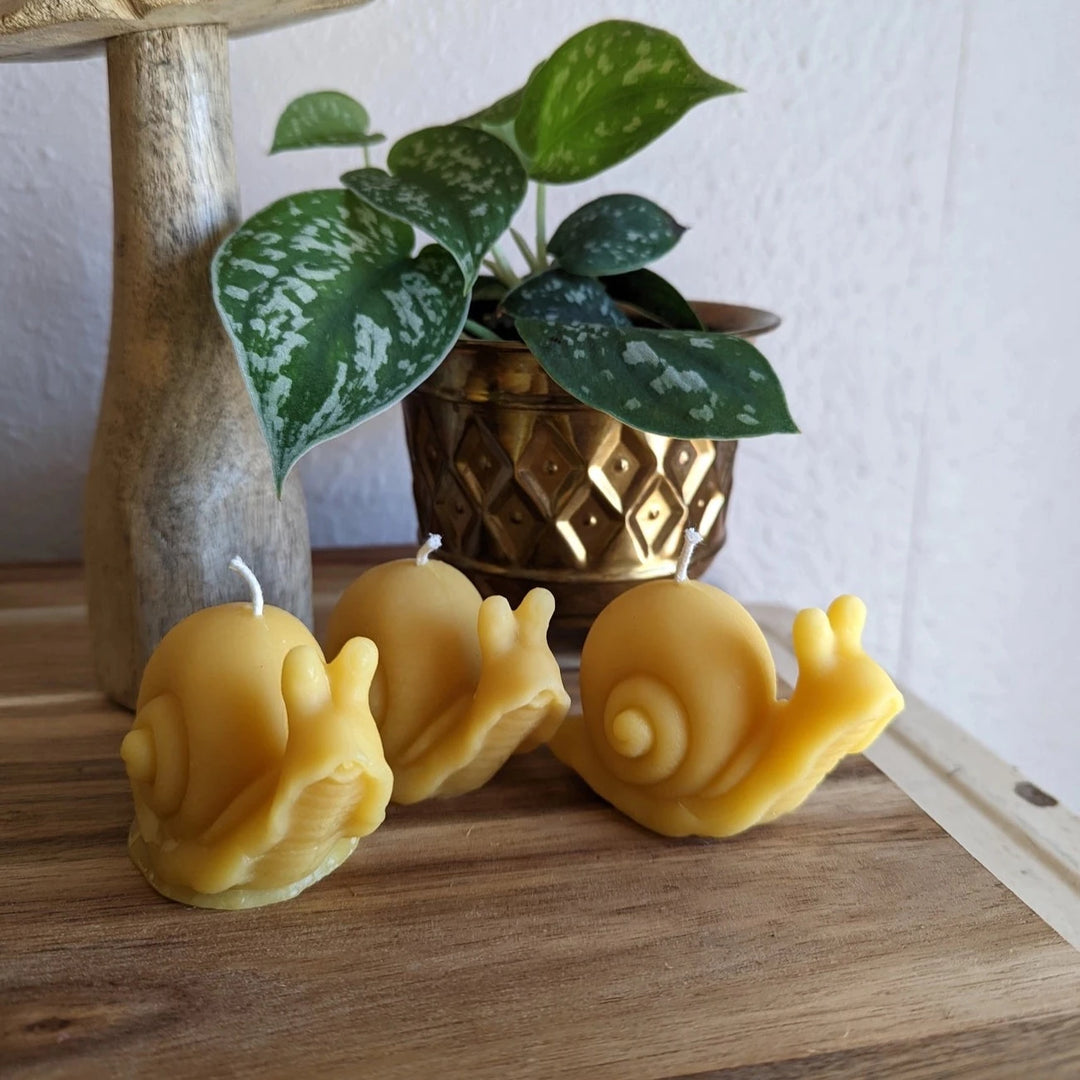 Snail Beeswax Candle
