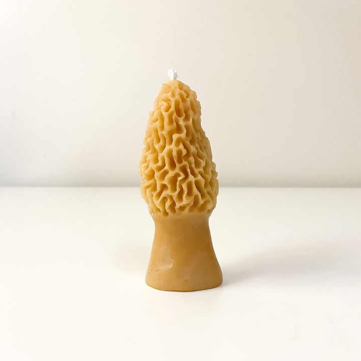Morel Mushroom Beeswax Candle