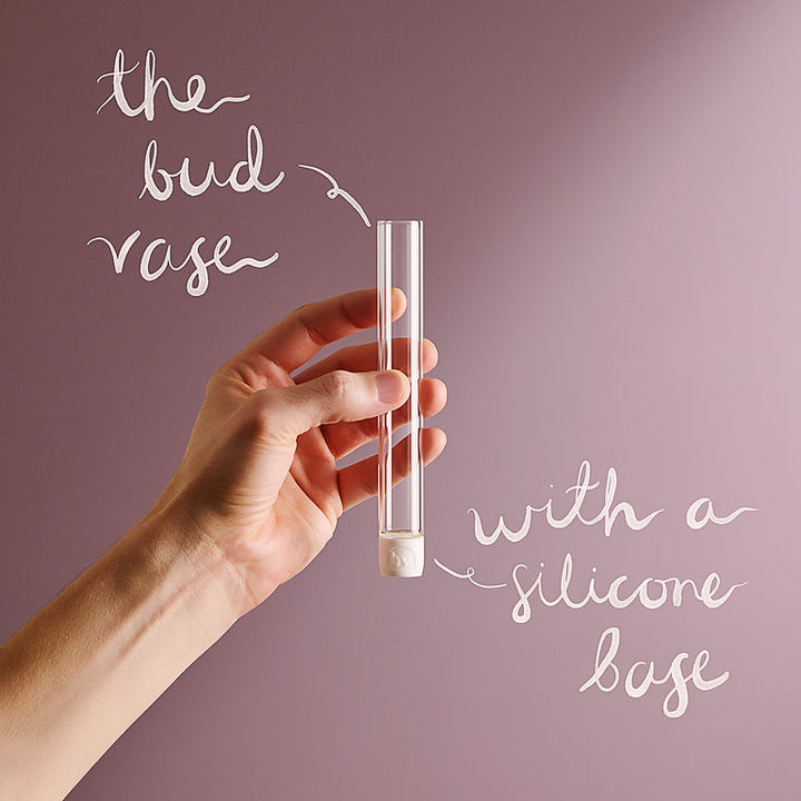 Base Vase - 3 Pack