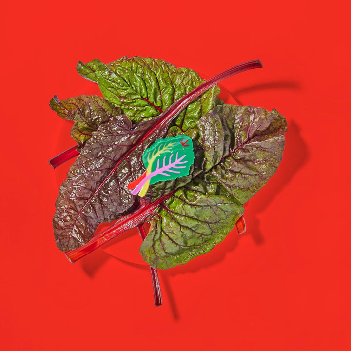 Large Rainbow Chard Hair Claw Clip