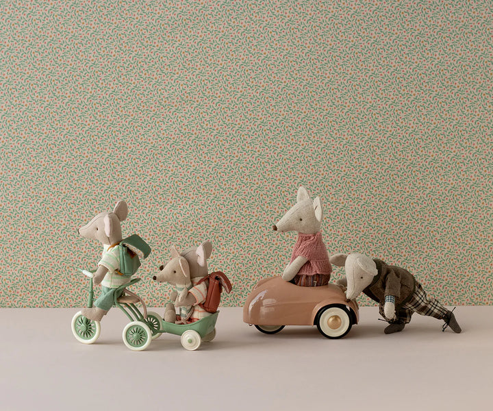 Abri a tricycle, Mouse