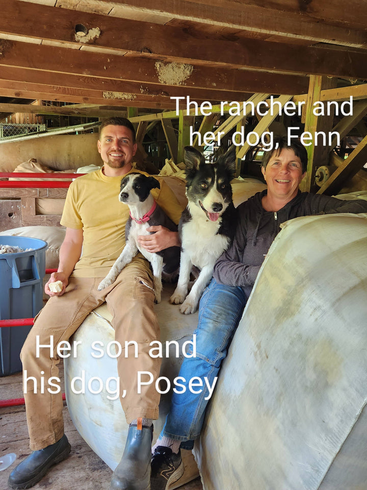 Wool Dish Sponge - Set of 2