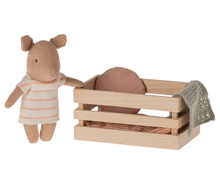 Pig, Baby in Box - Coral