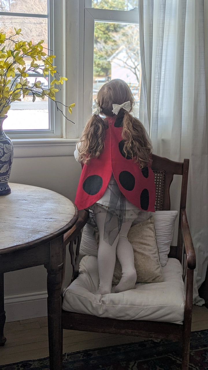 Ladybug Wings