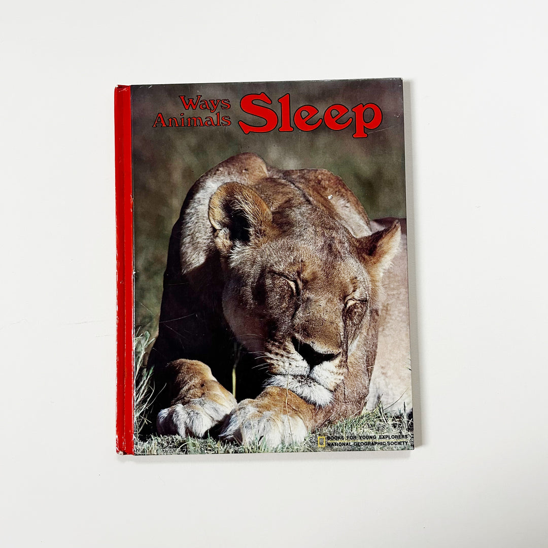 Ways Animals Sleep Hardcover