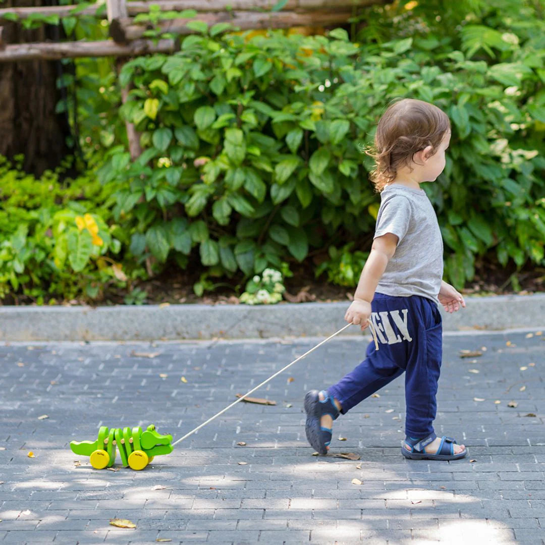 Dancing Alligator - Classic