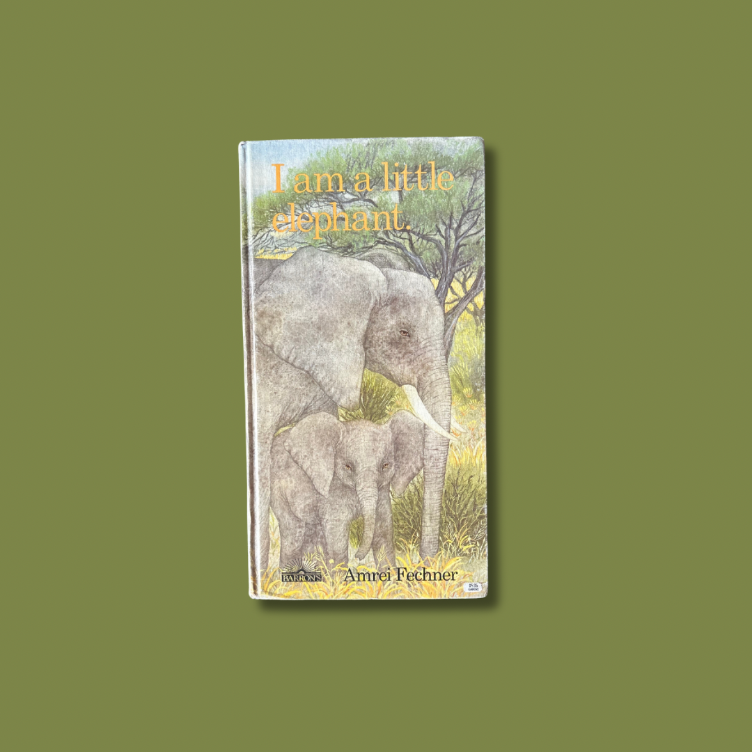 I Am a Little Elephant Board Book