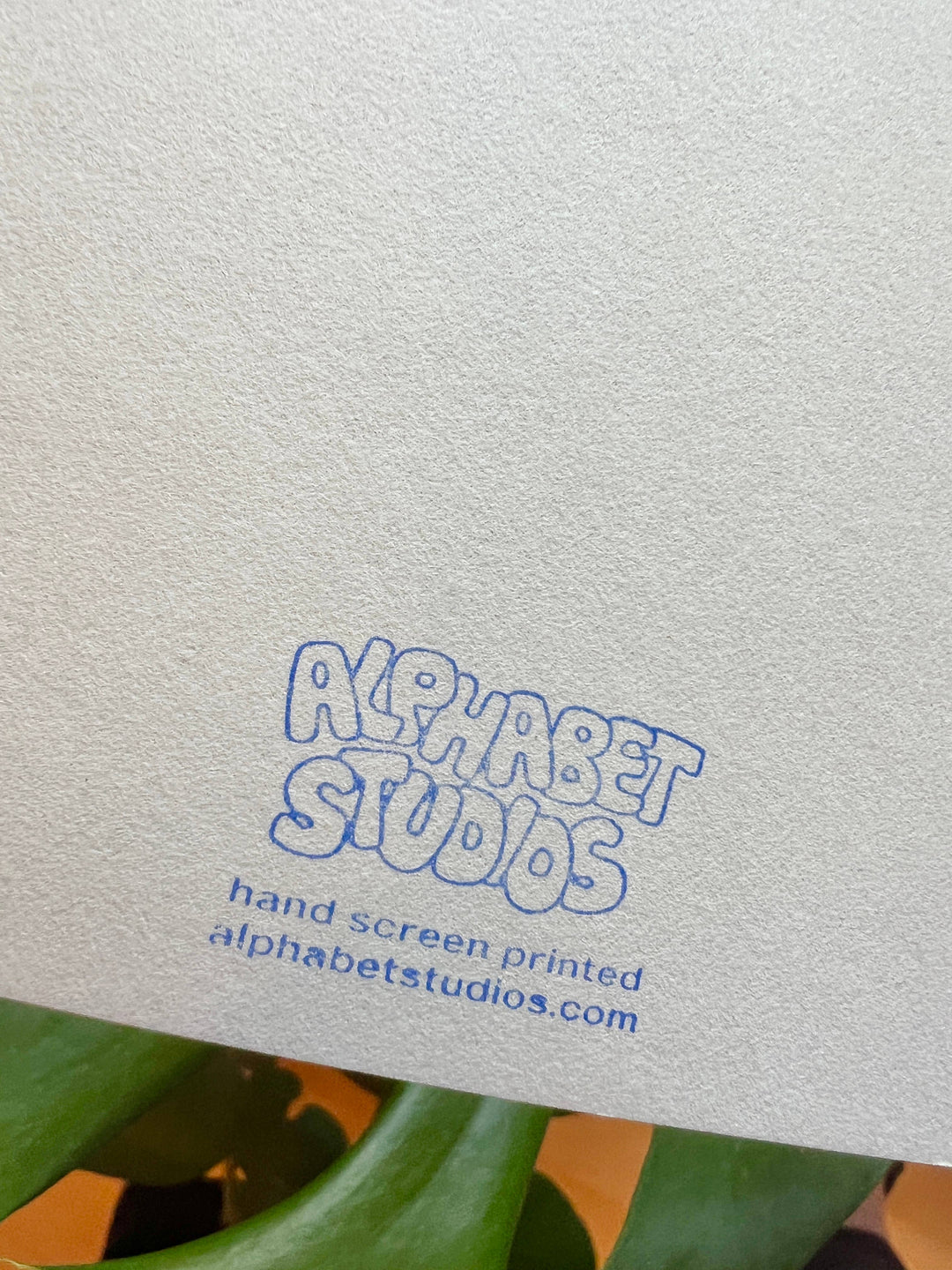 Have a Happy Birthday Greeting Card