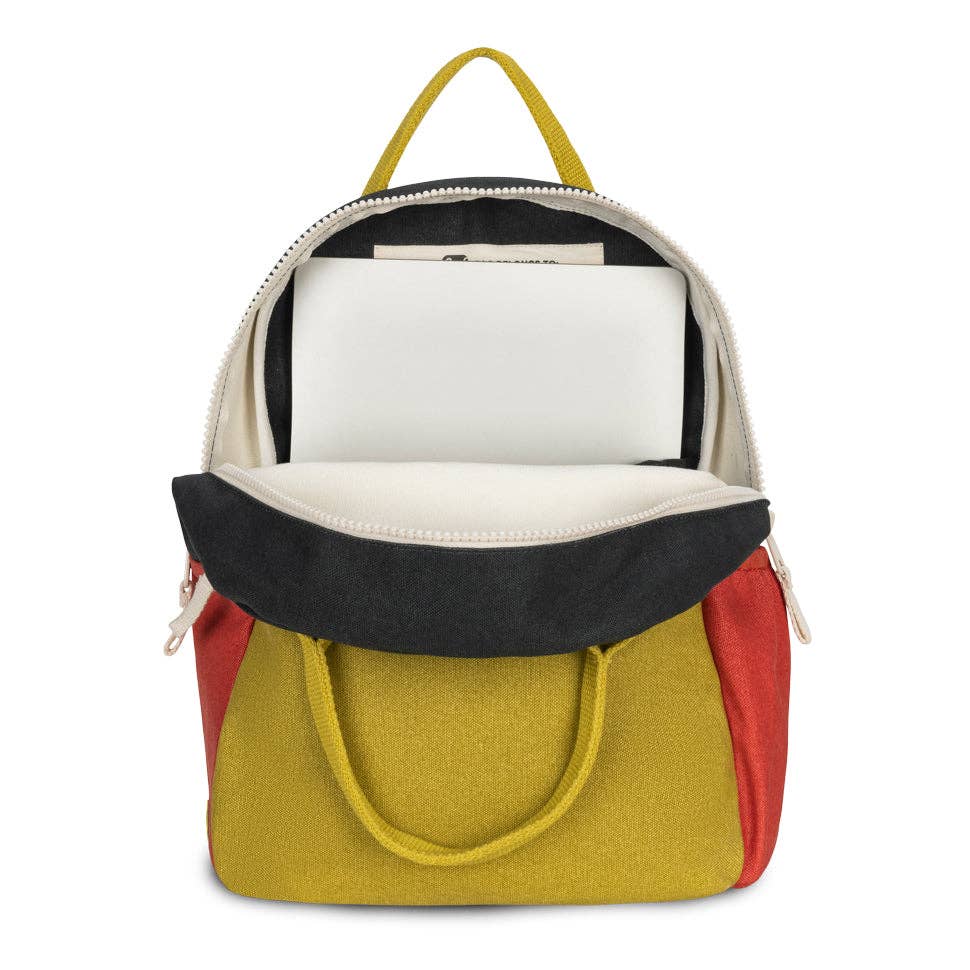 B Pack Jr. - Carbon Cactus