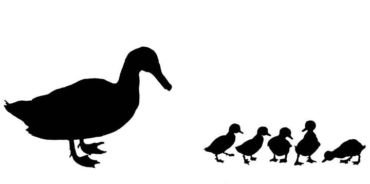 Black White Board Book