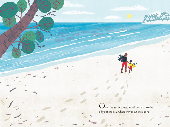 Over and Under the Coral Reef