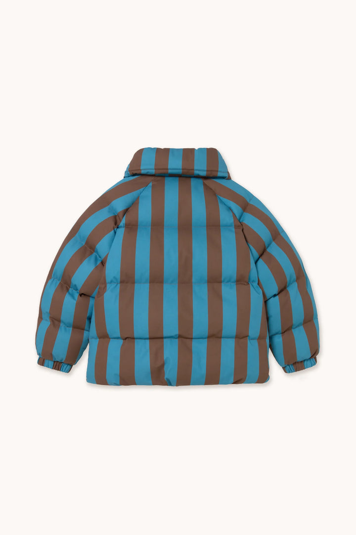 Blue-Cacao Stripes Short Padded Jacket