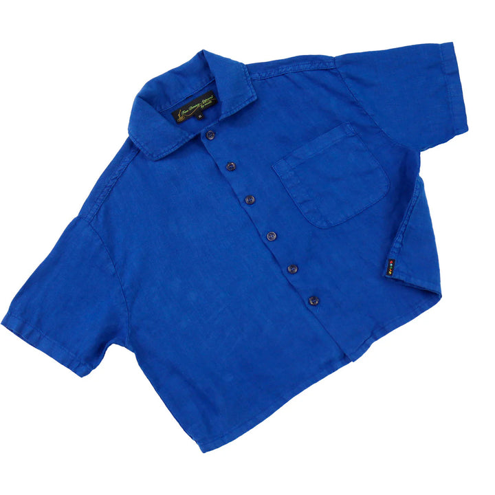 F.D.A Blueberry Linen Work Shirt