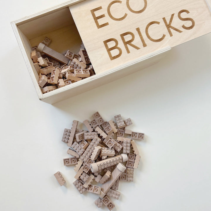 Eco Bricks Set