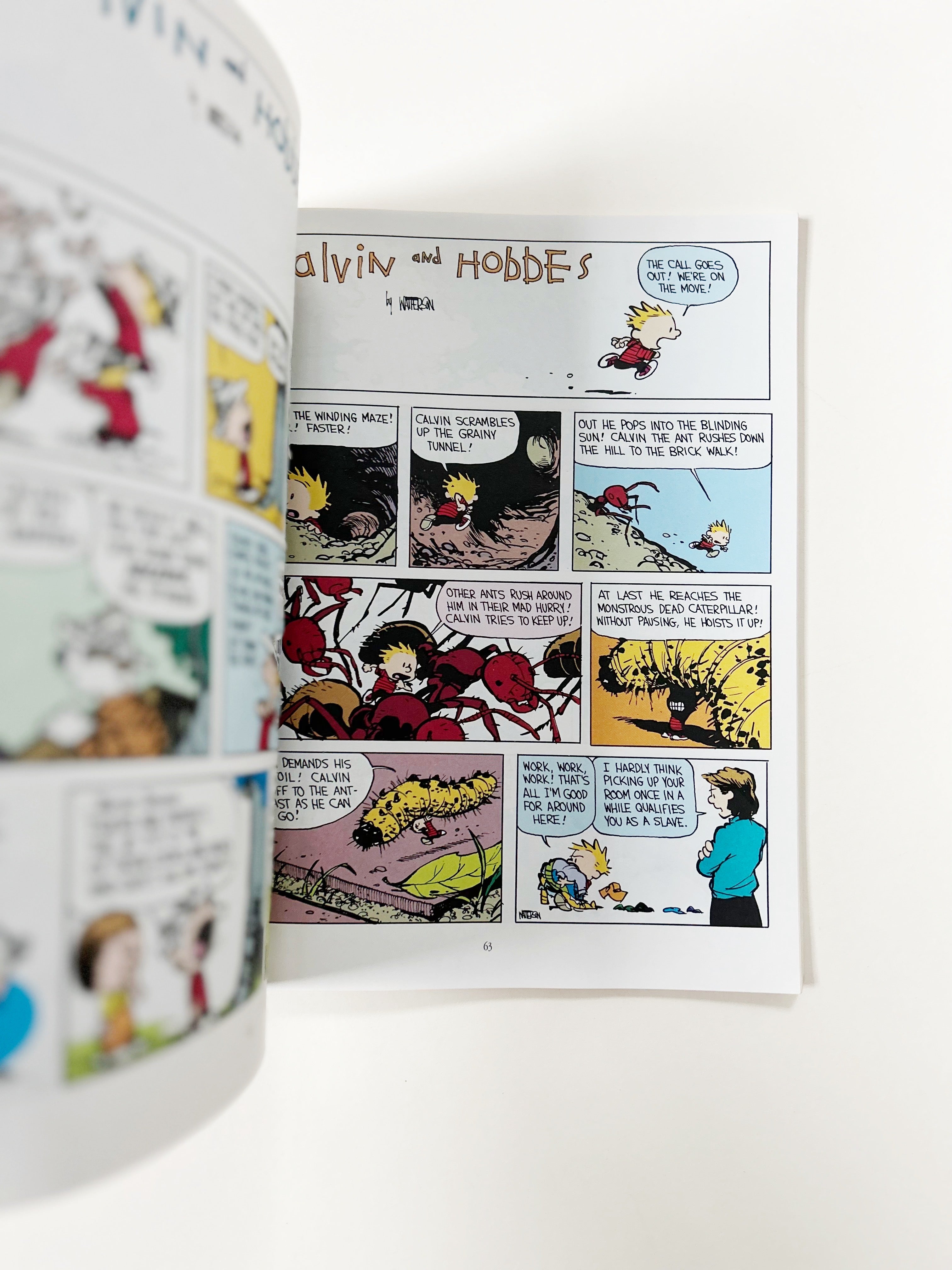 Calvin and Hobbes Lazy Sunday Book – Thistle & Poppy