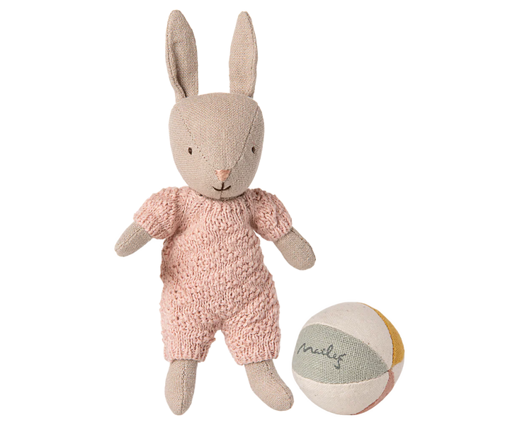Micro Rabbit Set