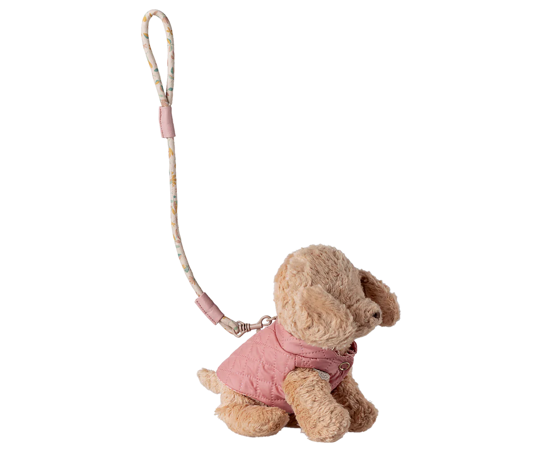 Pet Cupply, Harness and Leash - Rose