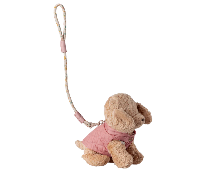 Pet Cupply, Harness and Leash - Rose