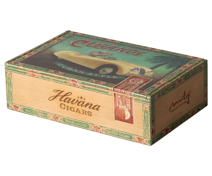 Grandma and Grandpa Mice in Cigarbox