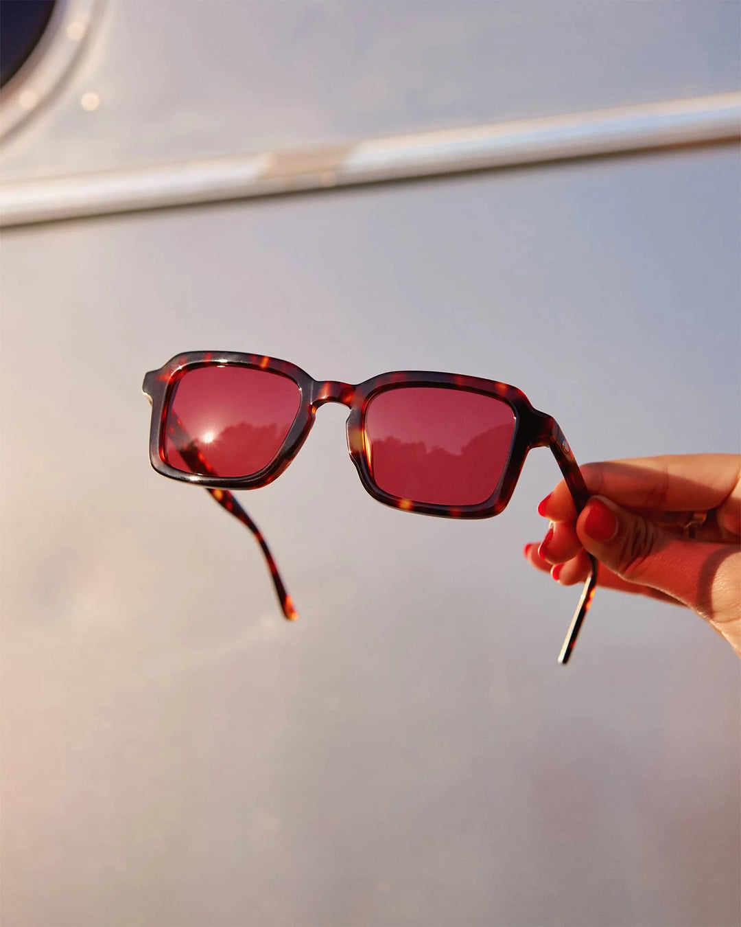 Sunglasses - The Heavy Tropix