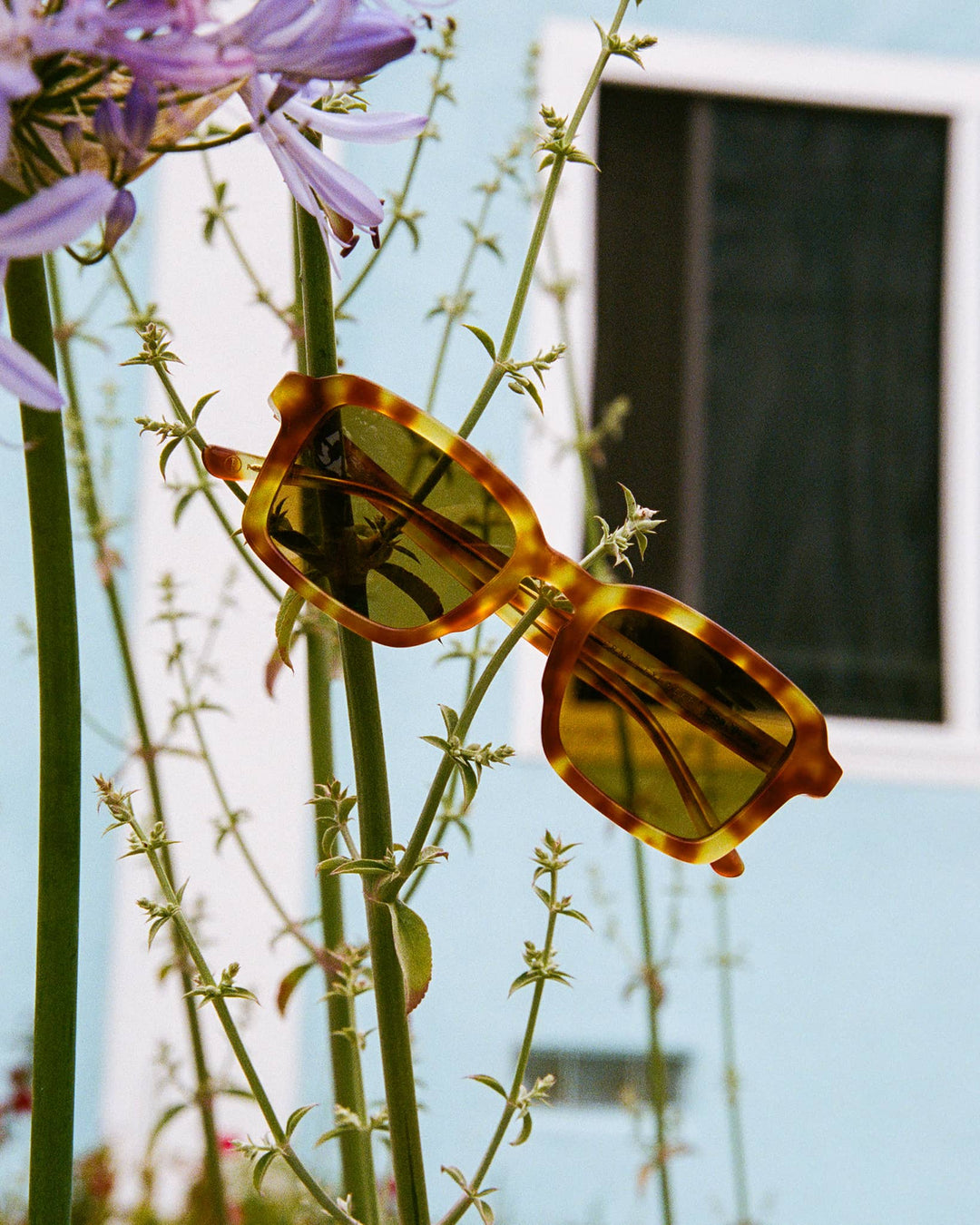 Sunglasses - The Heavy Tropix