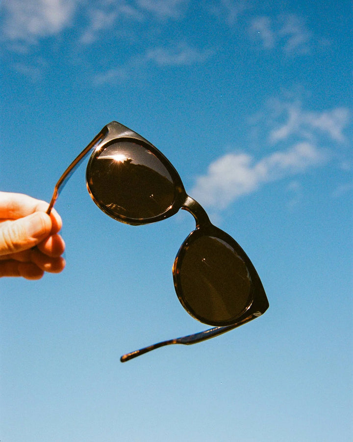 Sunglasses - The Shake Appeal