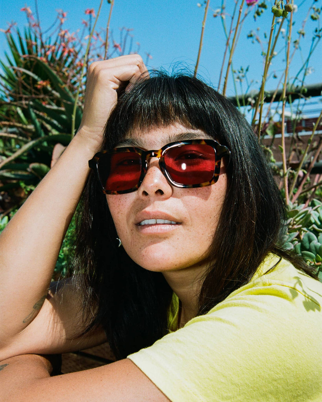 Sunglasses - The Heavy Tropix