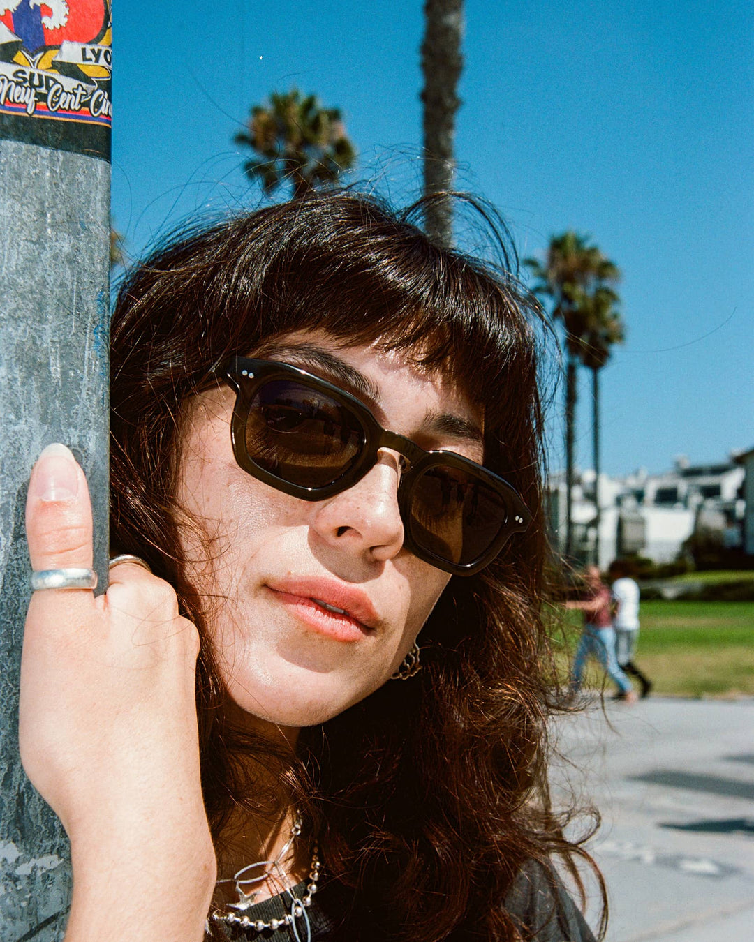 Sunglasses - The No Wave