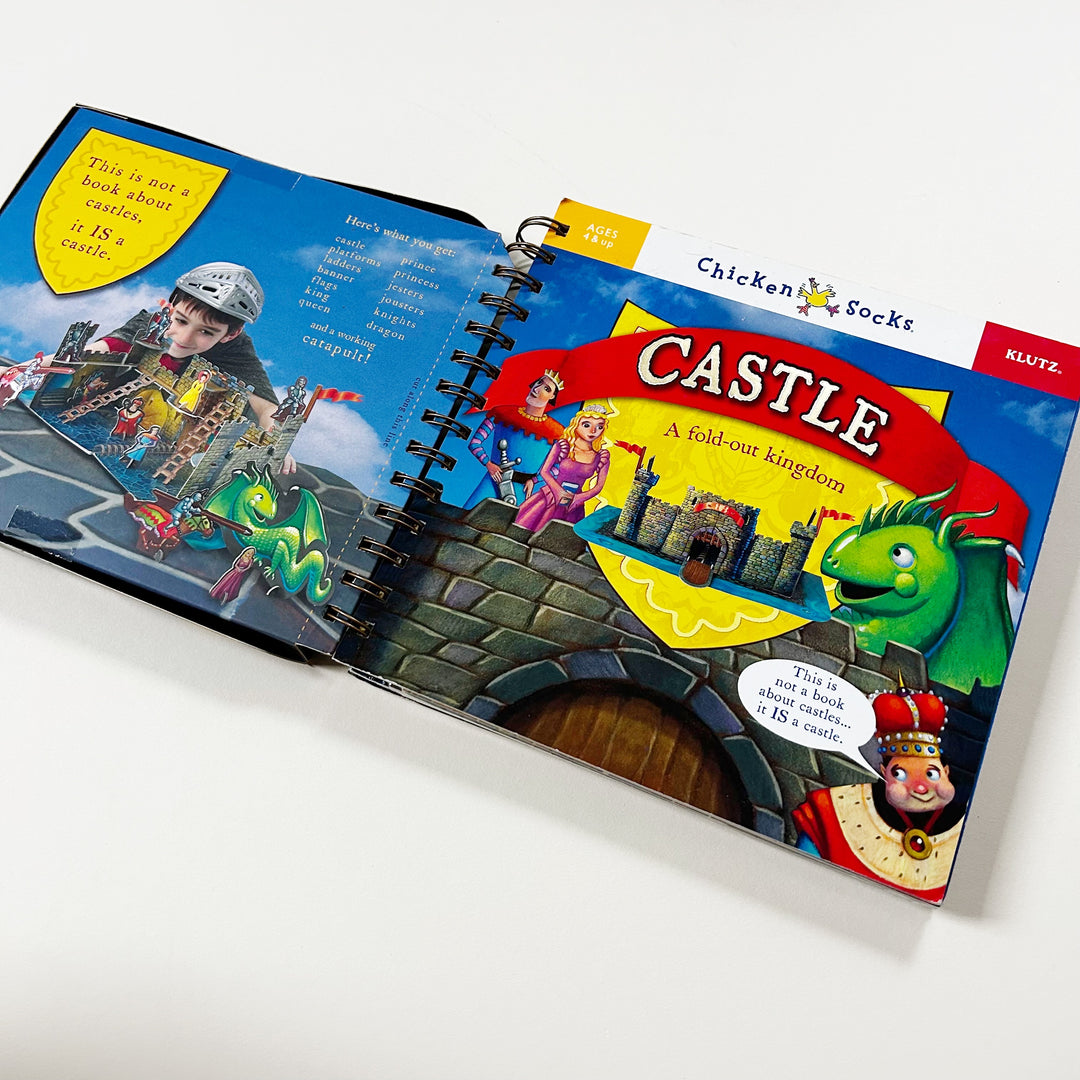 Castle: A Fold-Out Kingdom