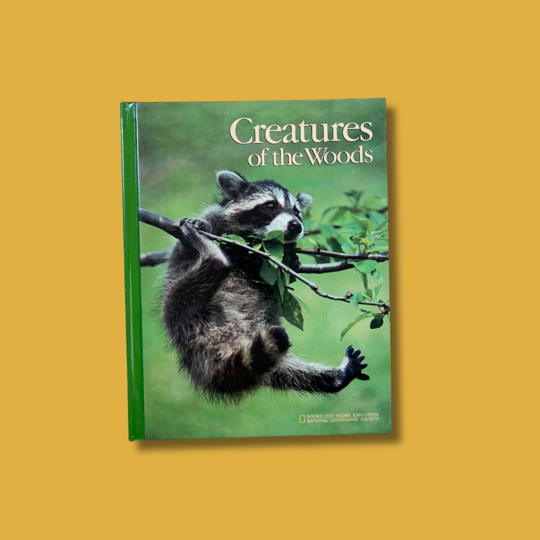 Creatures of the Woods Hardcover