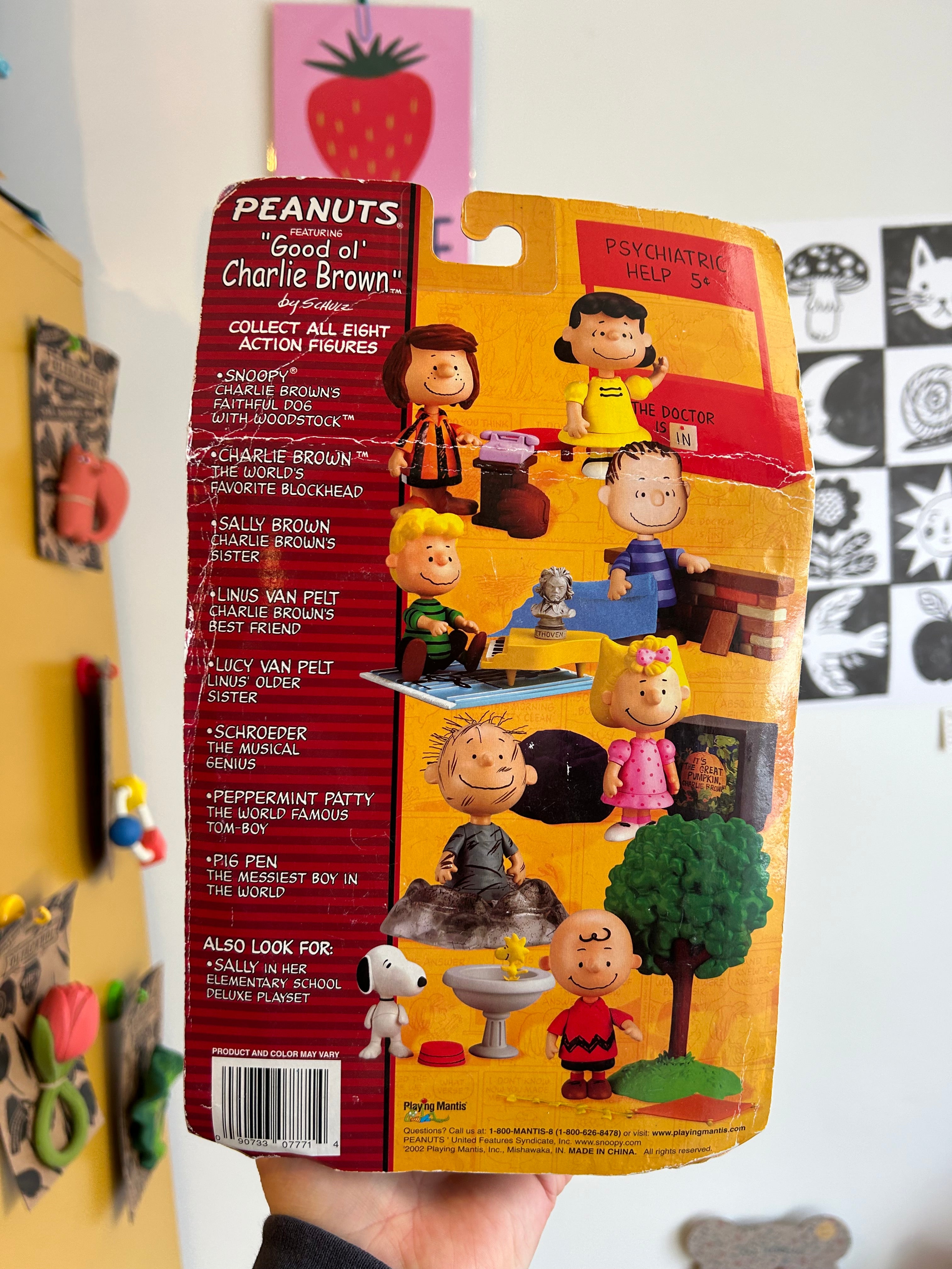 Charlie Brown Figure – Thistle & Poppy