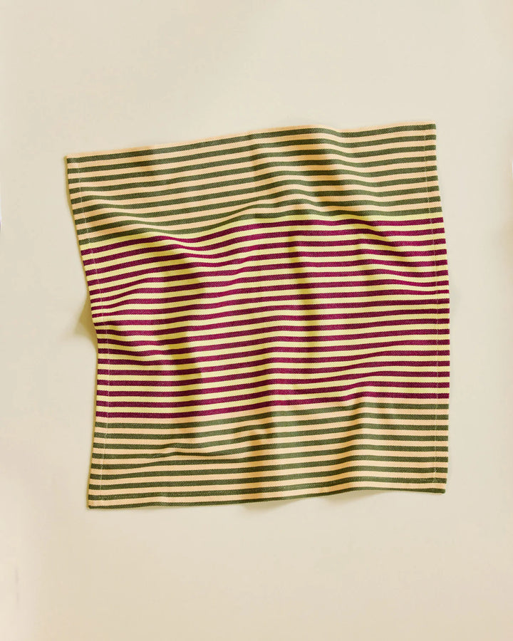Duo Stripe Napkins - Mixed Set of 4