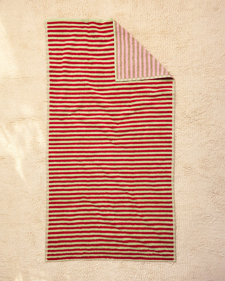 Bug Stripe Towels - Set of 5
