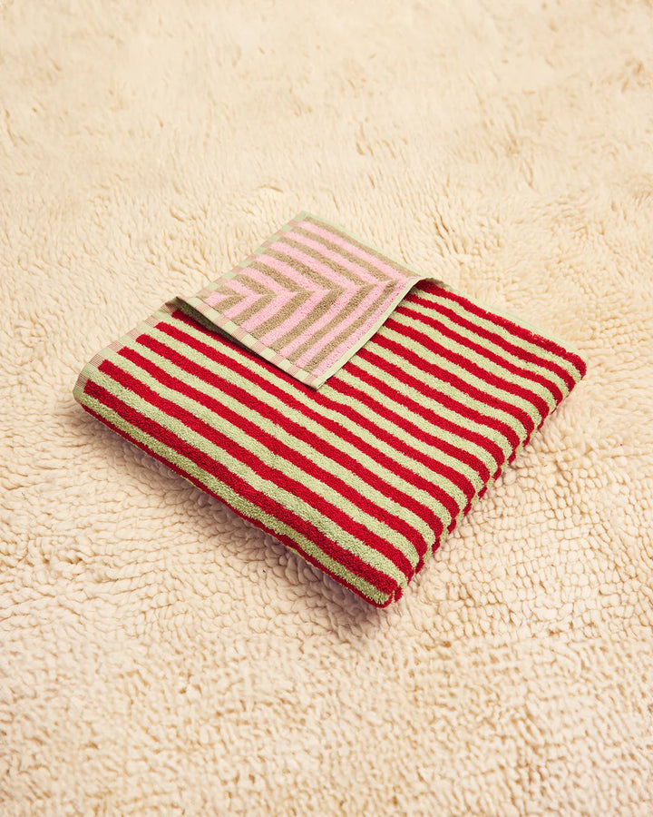 Bug Stripe Towels - Set of 5