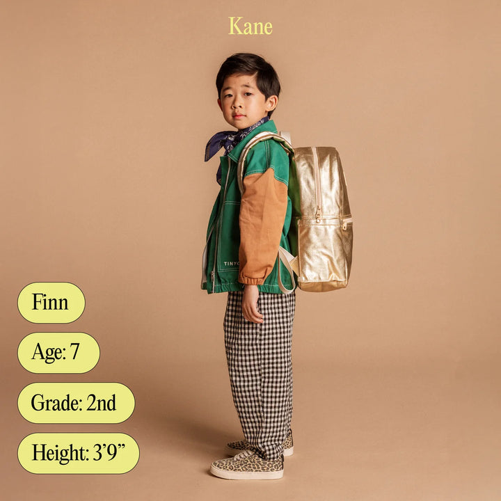 Kane Backpack - Stripe