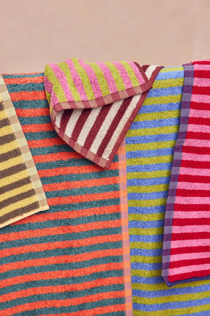 Bug Stripe Towels - Set of 5