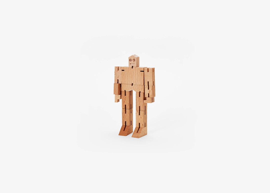 Cubebot Micro - Julien