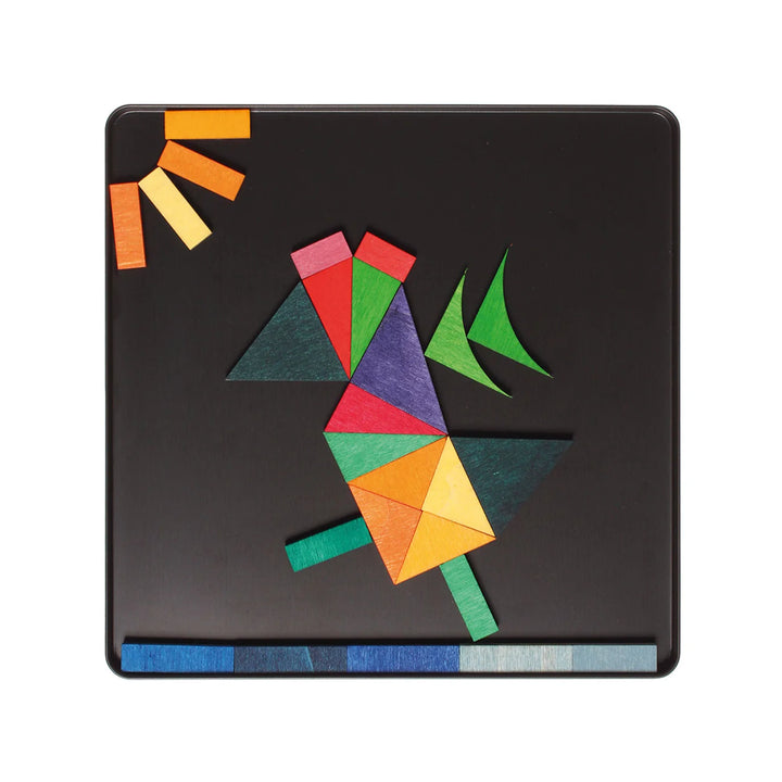 Magnet Puzzle Geo-Graphical