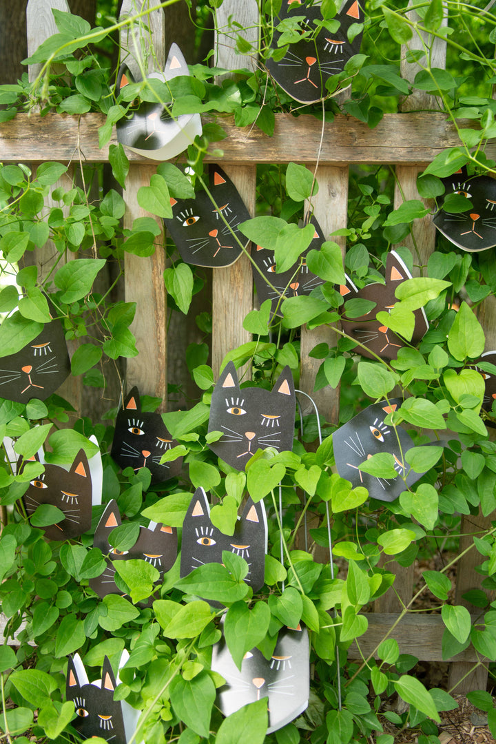 Black Cat Blink - Die Cut Card