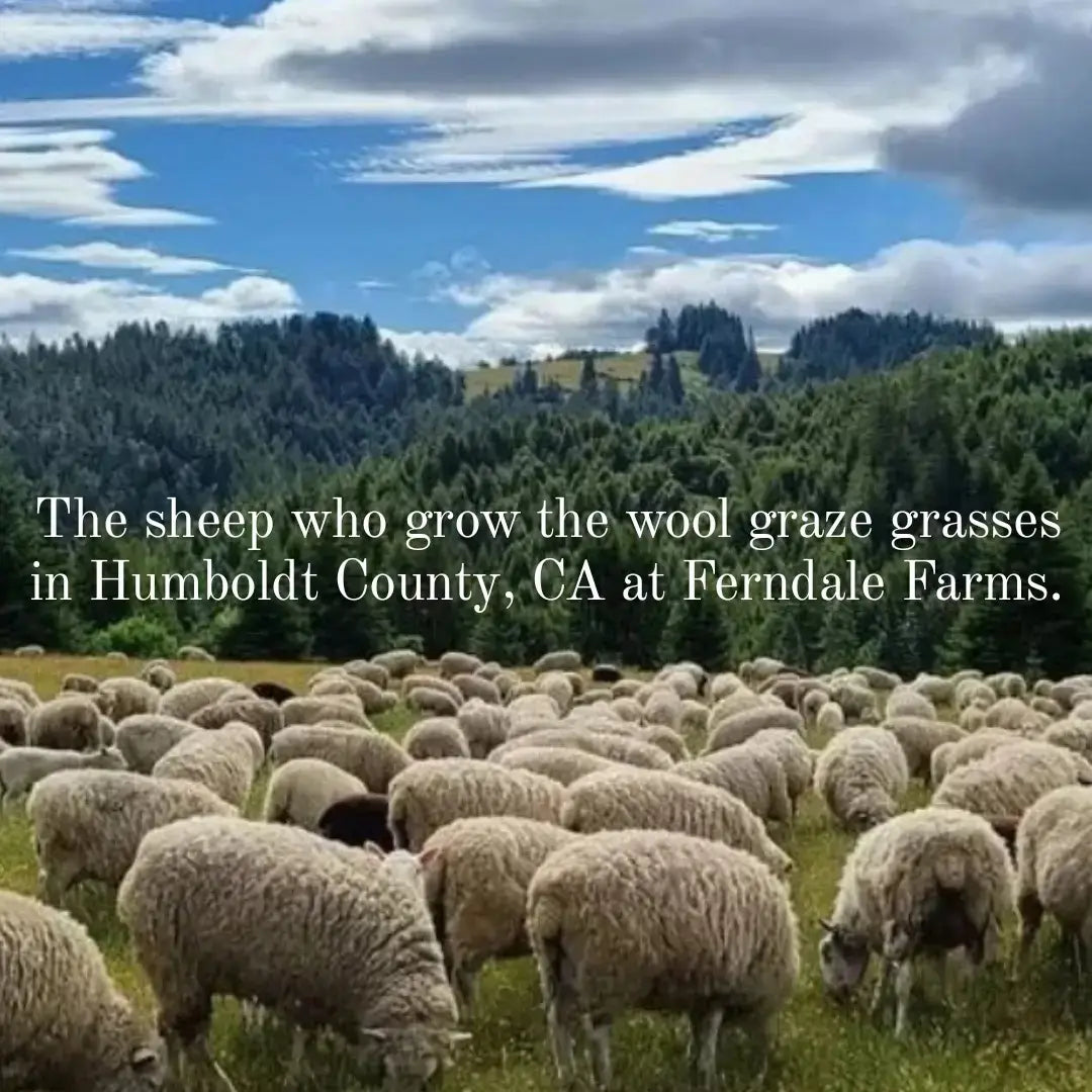 Wool Dish Sponge - Set of 2