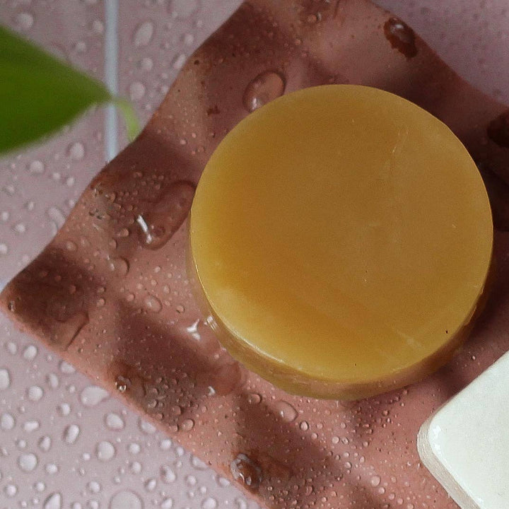 Conditioner Bar & Detangler - Rose & Matcha Tea
