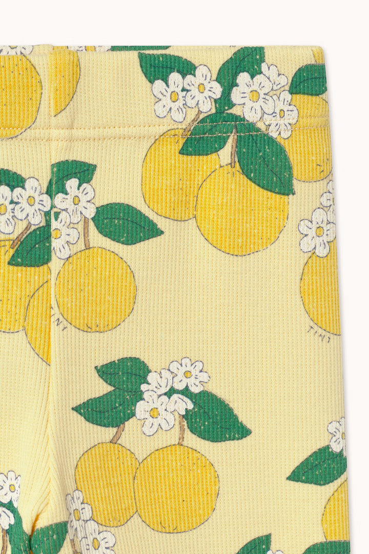 Oranges Rib Baby Pant