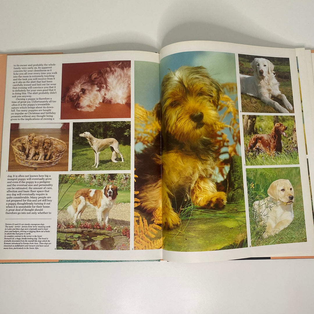 Nature Library of Color Dogs & Puppies