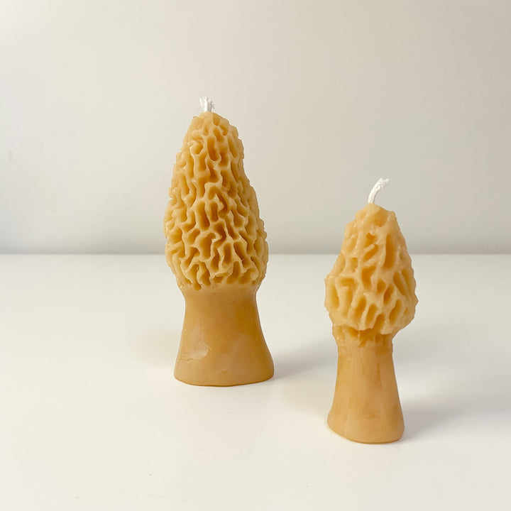 Mini Morel Mushroom Beeswax Candle